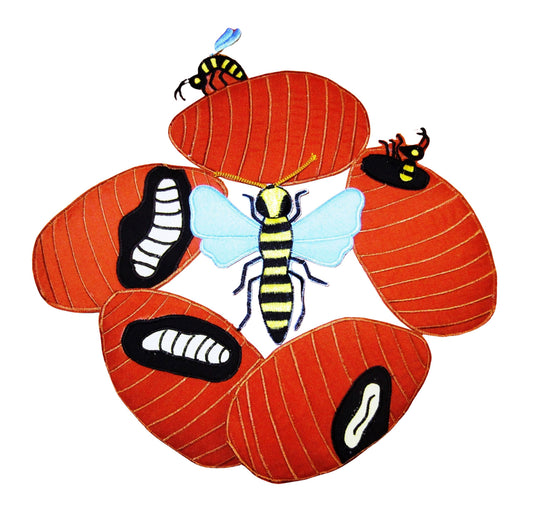 Life Cycle of a Wasp - Felt Board Story - Warning and Safety Concerns.