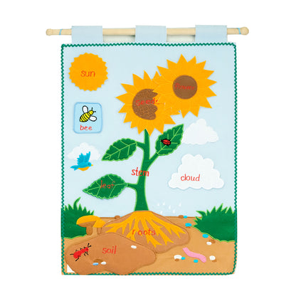 Life Cycle of a Sunflower - Fabric Wall Chart